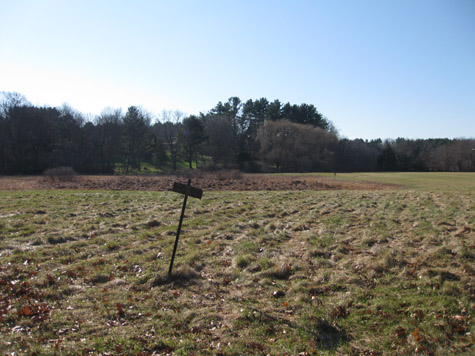 Browning fields in autumn