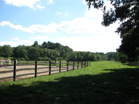 Browning Fields in summer